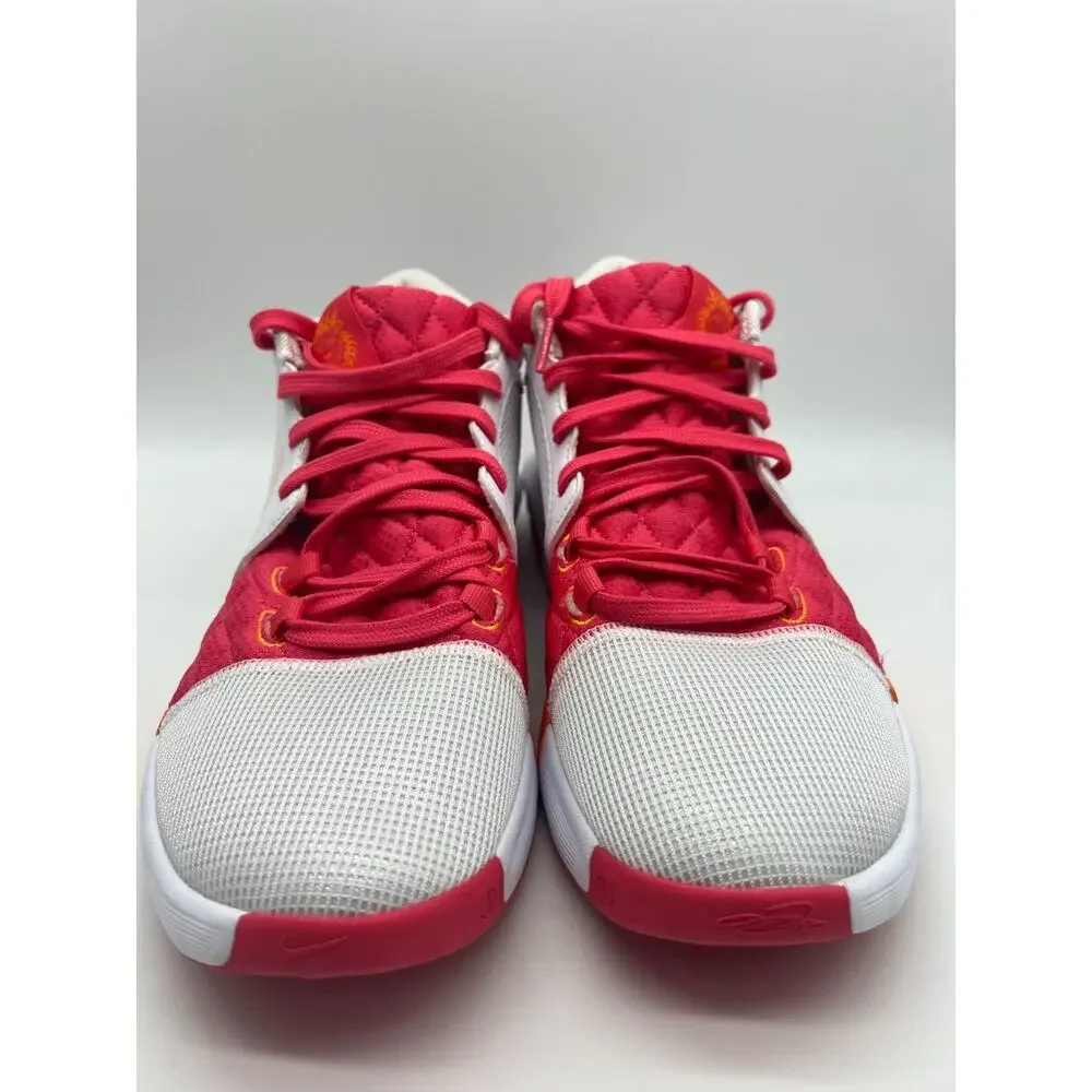 Nike LeBron Witness 8 Dunkin Donuts FB2239-104 Men's Size 10 New